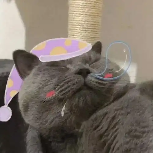  猫猫情头风止于秋水,我止于你