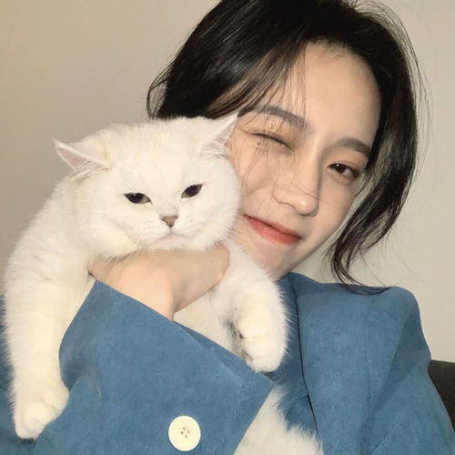  可爱又沙雕朋友圈文案