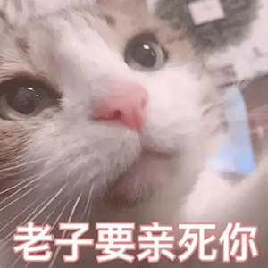  撩人表情包一套污的小女生可爱撩人表情包