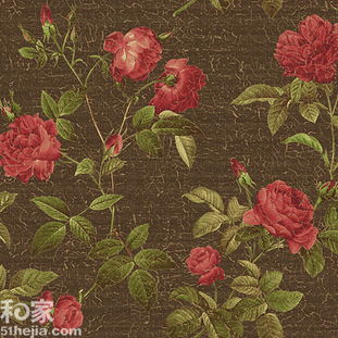  家居魔术师三大篇章解析百变壁纸