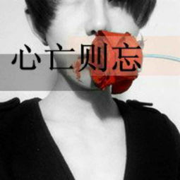  .女王﹏最新直播作品全集.女王﹏照片及背景资料0yylive