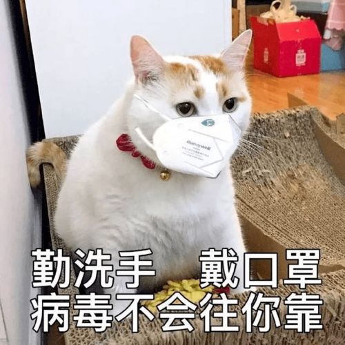  我有一个朋友山水暖你,壮乡等你
