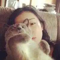 有关于猫的情侣头像男生