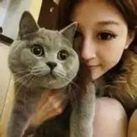 小女孩抱猫情侣头像