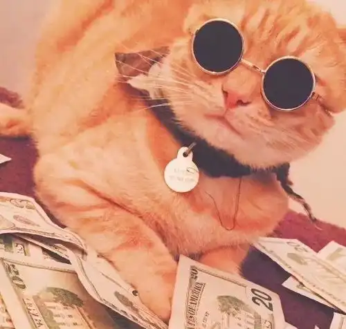 小猫头像可爱超萌