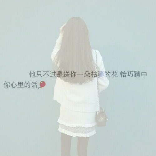  可爱堆糖,美好生活研究所
