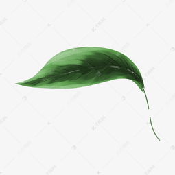  一片彩绘的绿色水彩叶子素材图片免费下载高清psd千库网图片编号11631905