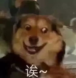  打底裤不再是女生的专属哈哈哈哈哈真的要被这一届的男生活活笑死过去