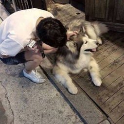 男生头像霸气超拽黑白马