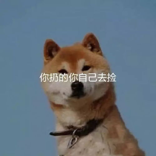  笑到岔气的朋友圈截图迟早有天我会被这届沙雕网友给活活笑死