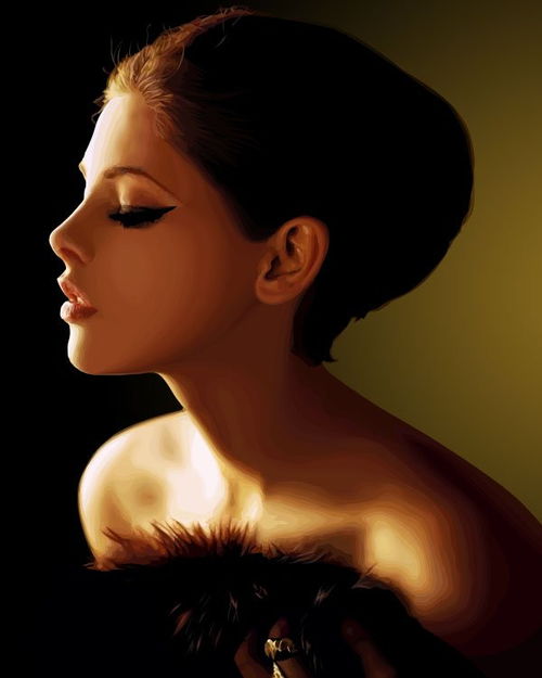  vexel美丽的女性人物插画作品2