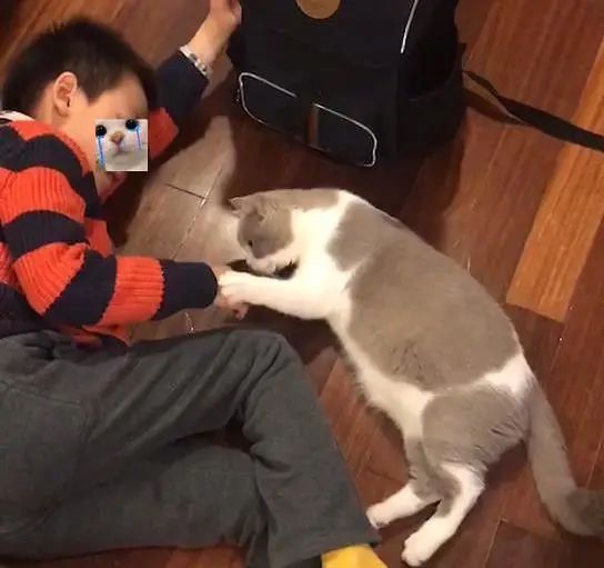  自闭症男孩与猫我的频道,只有你听到