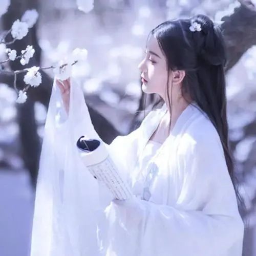  当春乃发生白鹭成双这一古言甜文爆火,五星强推