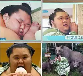  日本最萌相扑手成网红神似肉版蜡笔小新