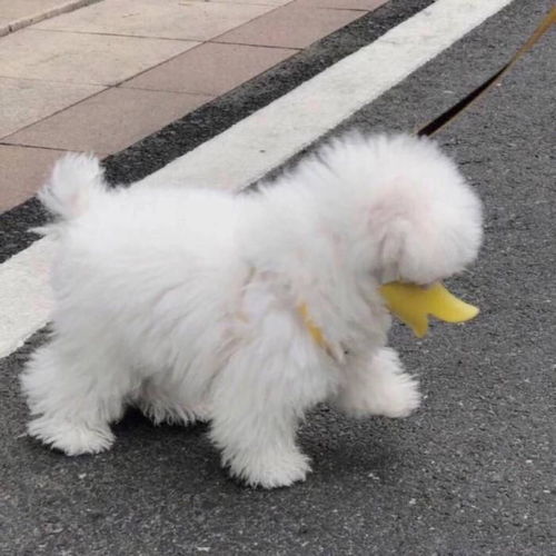  有什么好看又小众的头像