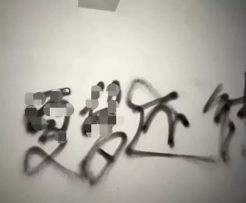  惊心大学生参加兼职,却成了套路贷的俎上鱼肉