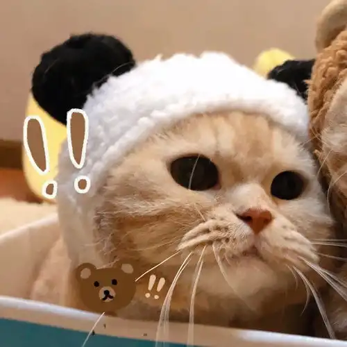  不能再好看的情侣头像