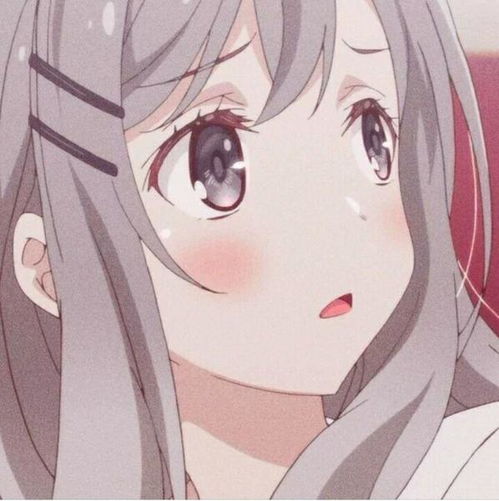  百田奥比岛圈