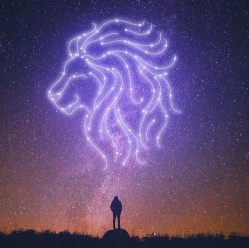  面对爱情,勇于表白的四大星座,内心充满了强大的自信