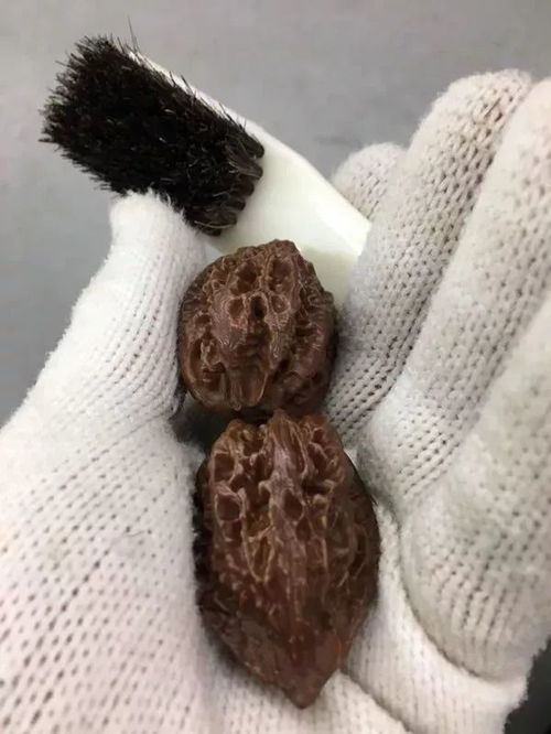  玩竹子不