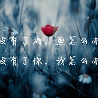  唯美爱情文字头像,风景带字伤感图片头像