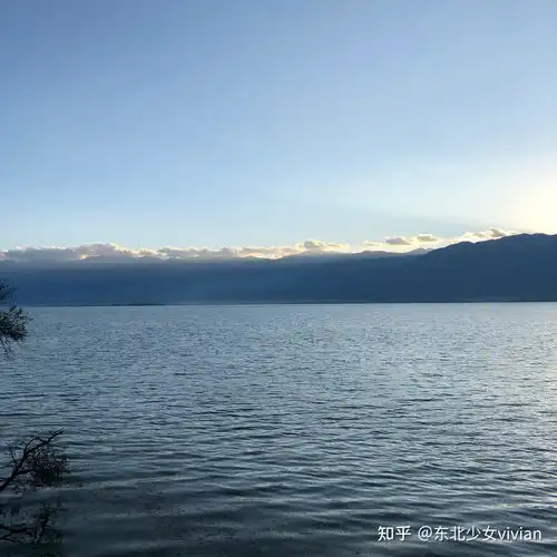 洱海赏湖治愈人头像