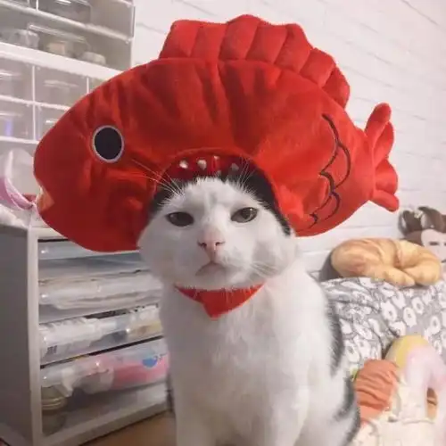  微信头像百里挑一