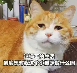  如何评价萧山情侣婚前聊天记录