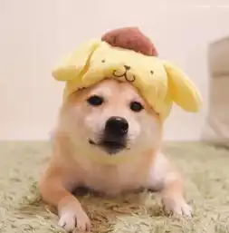 情侣头像狗可爱