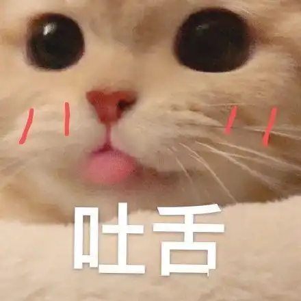 萌宠情侣头像表情包