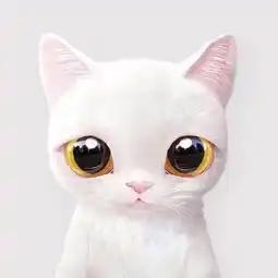 猫咪情侣头像一左一右汤