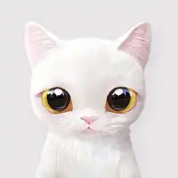 猫咪情侣头像一左一右汤