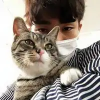  抱猫爱人情侣头像一左一右qq头像扣扣居