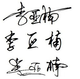  我叫李亚楠,是男生,请帮忙设计一个艺术签名