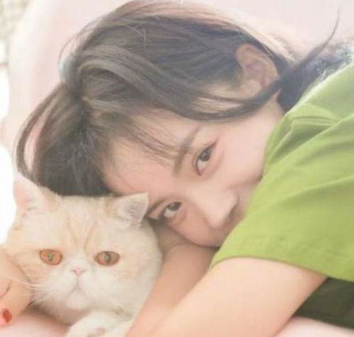女生可爱微信头像小猫