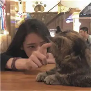  女生抱着猫很酷的头像美女与猫你到底喜欢那个