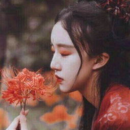  古风头像