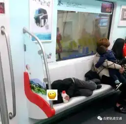  嚣张合肥一孕妇掌掴地铁1号线女安检员,只因孩子吃冰淇淋过检遭拒