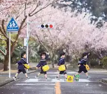  日本妈妈偷拍儿子3年,摄影小白逆袭成为摄影大神美成宫崎骏童话