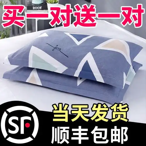  枕头套一对成人情侣全棉4874单人学生宿舍冬100