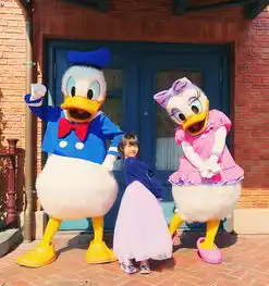  漫游上海迪士尼