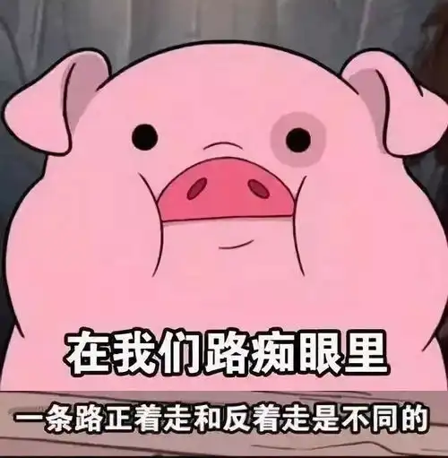 猪情侣头像100张