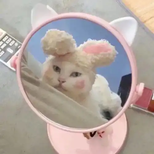 萌宠情侣头像