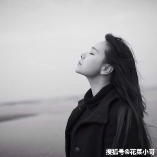  2019二十四条最拽最霸气的签名,女生一看就喜欢