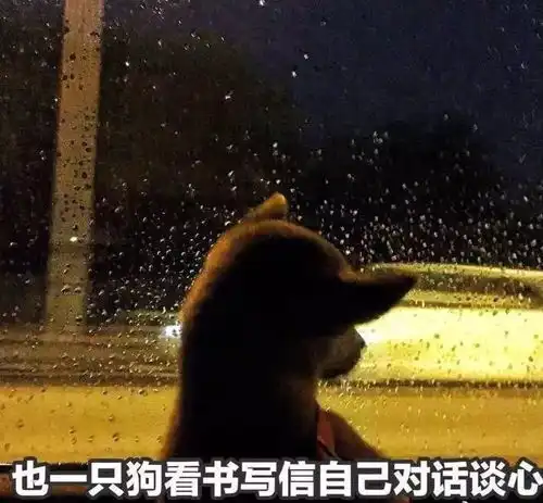  小心一大波狗粮正在赶来