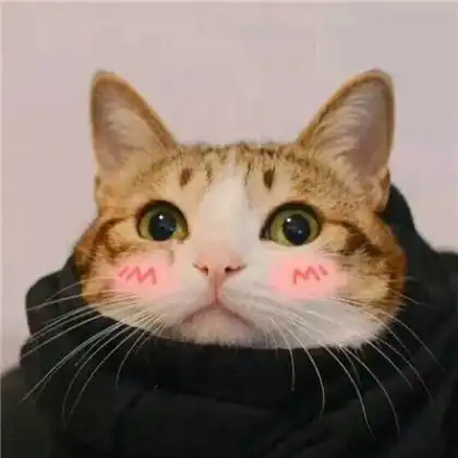 小猫情侣头像不明显