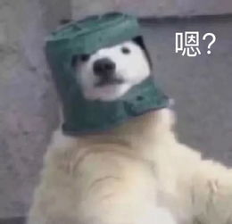头像女生沙雕可爱活活
