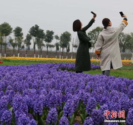  澳洲网澳洲人疯狂爱自拍每周要晒5000万张