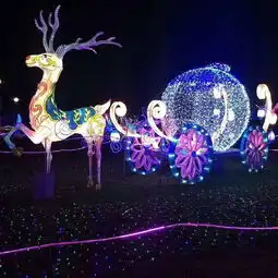  浪漫梦幻灯光节情侣必要的场地道具