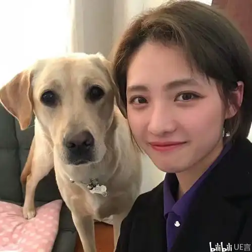  在进来谈个恋爱
